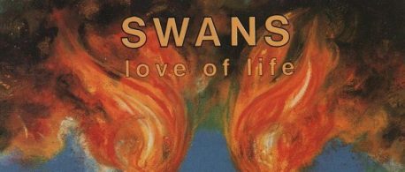 Swans